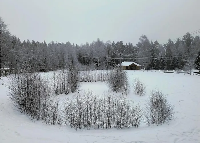 Mazurska Olszyny (Szczytno)